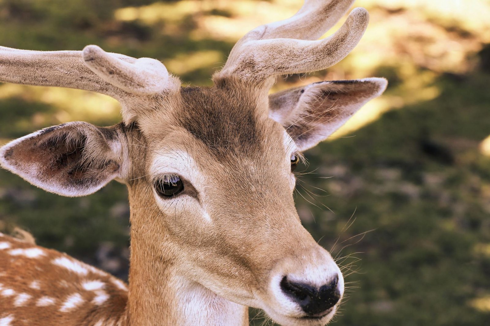 De la Zero la Vanzari Explosiv featured