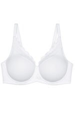 Soft model 229313 Triumph - Image 4