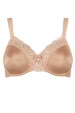 Soft model 229359 Triumph - Image 2