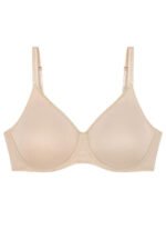 Soft model 229362 Triumph - Image 2