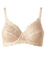 Soft model 229505 Triumph - Image 2