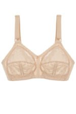 Soft model 229866 Triumph - Image 2
