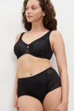 Soft model 229886 Triumph - Image 2