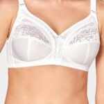 Soft model 229987 Triumph