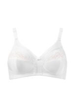 Soft model 229987 Triumph - Image 2