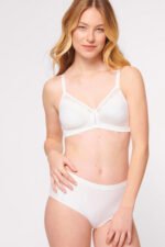 Soft model 230065 Triumph - Image 2