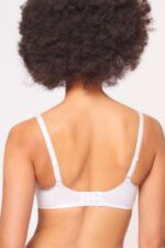 Soft model 230065 Triumph - Image 3