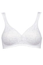 Soft model 230240 Triumph - Image 2